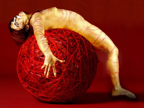 Diana Tiger on Yarn Ball